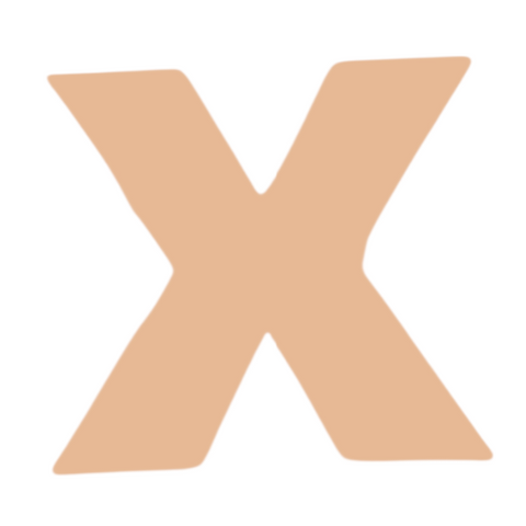F0329 Letter "X" Metal Blank