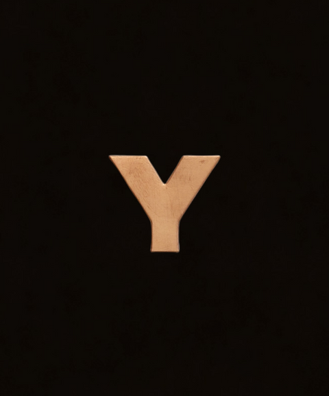 F0330 Letter "Y" Metal Blank