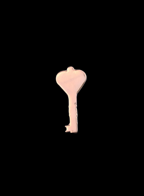 F6109 Skeleton Key Metal Blank