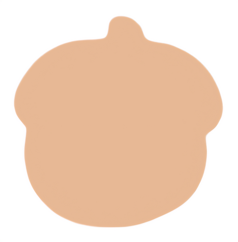 F6119 Acorn Metal Blank
