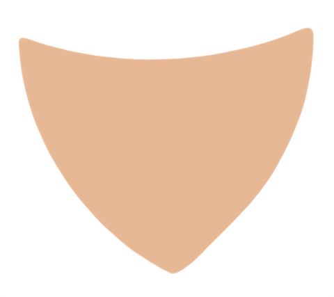 F6146 Design Metal Blank