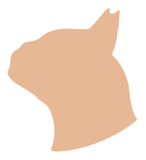 F6228 Boston Terrier Metal Blank