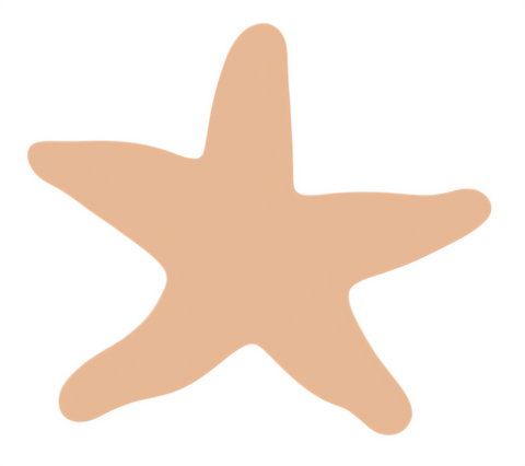 F6263 Starfish Metal Blank