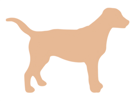 F6264 Labrador Dog Metal Blank
