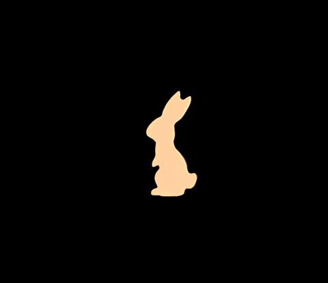 F6296 Rabbit Metal Blank