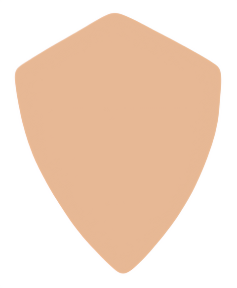 F6345 Shield Metal Blank