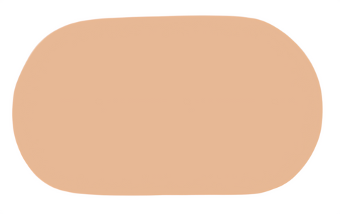 F6358 Oval Metal Blank