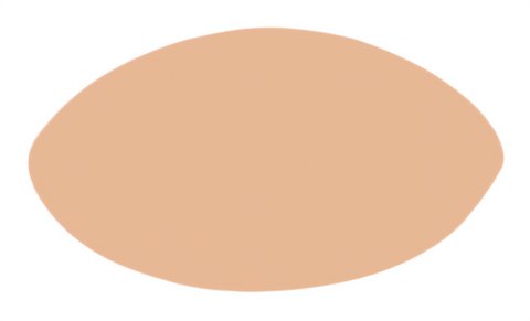 F6363 Oval Metal Blank