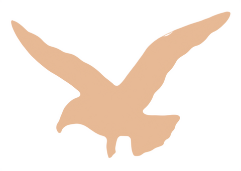 F6407 Seagull Metal Blank