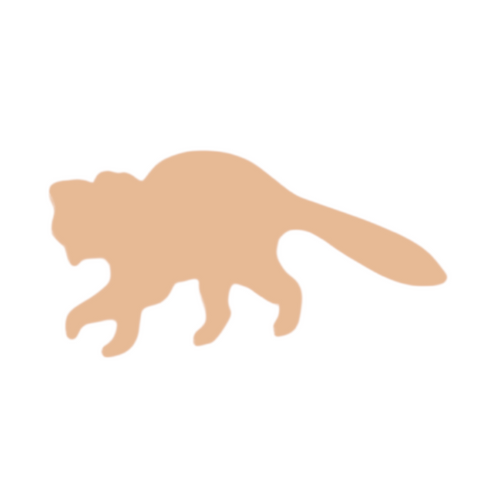 F6607 Raccoon Metal Blank