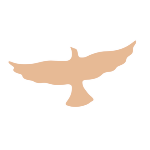 F6609 Eagle Metal Blank