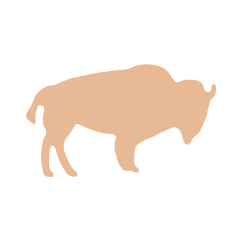 F6634 Buffalo Metal Blank