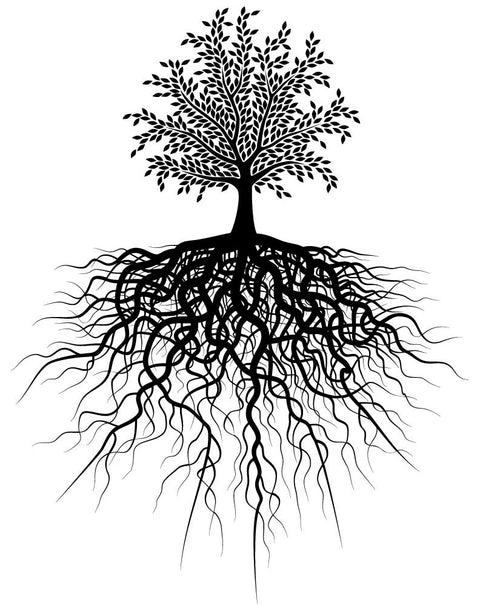 Tree of Life Glass Enamel Decal - Black