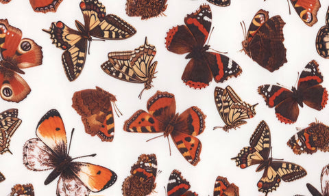 Allover Chintz Butterfly Ceramic Decal Sheet