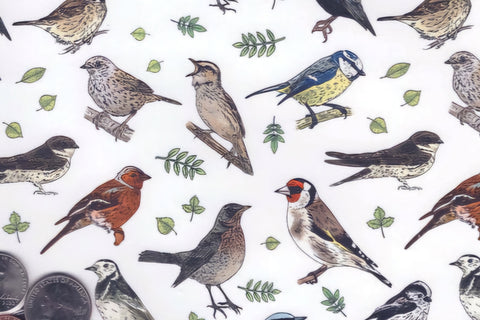 Allover Chintz Bird Song Leaves Ceramic Decal Sheet