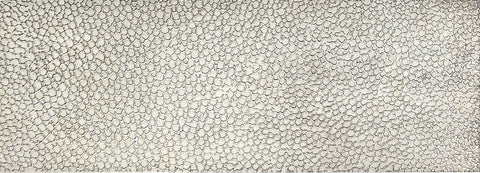 RMP1040 Stingray Skin Rolling Mill Plate