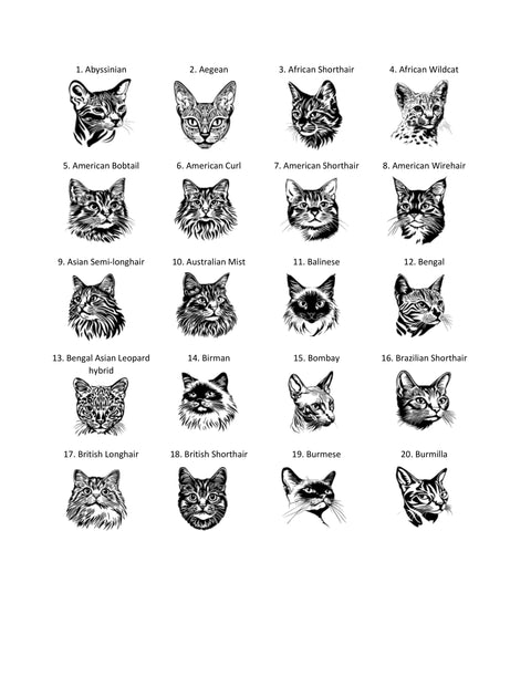 RMPCCAT Create Your Own Cat Rolling Mill Plate