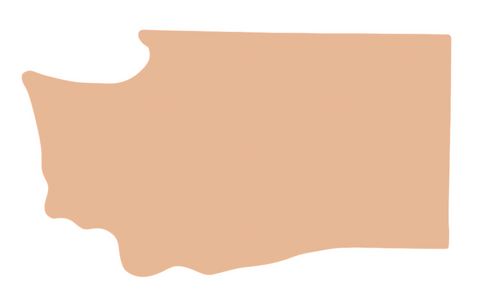 F6444 Washington Metal Blank
