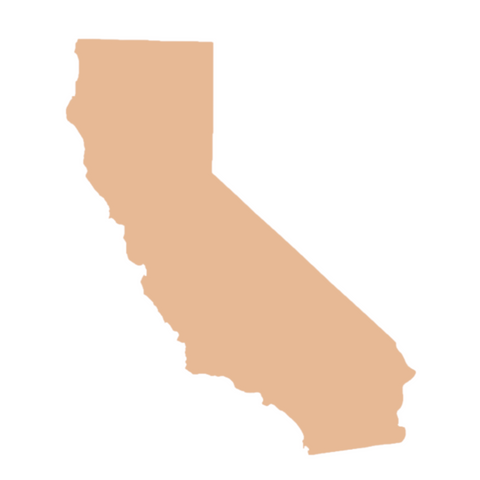 F0296 California Metal Blank