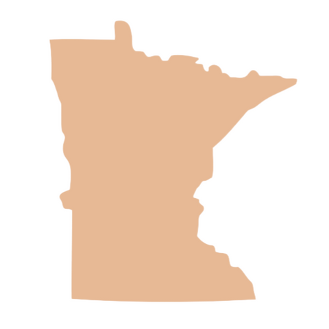 F0282 Minnesota Metal Blank