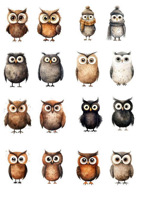 20312 Owls – Waterslide Decal for Enamel, Glass & Ceramic