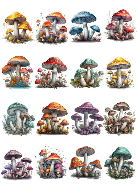 20316 Mushrooms – Waterslide Decal for Enamel, Glass & Ceramic