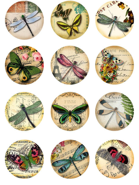 20598 Dragonflies & Butterflies 1 – Waterslide Decal for Enamel, Glass & Ceramic