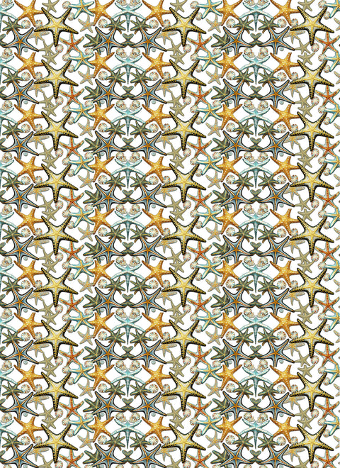 20552 Starfish 2 – Waterslide Decal for Enamel, Glass & Ceramic