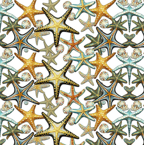 20552 Starfish 2 – Waterslide Decal for Enamel, Glass & Ceramic