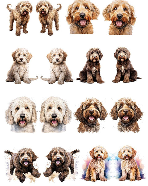 20635 Labradoodles Earring Sets – Waterslide Decal for Enamel, Glass & Ceramic