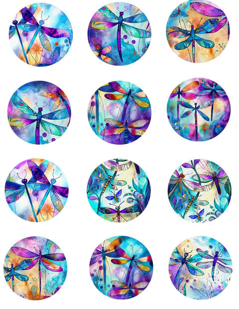 20669 Dragonfly Circles – Waterslide Decal for Enamel, Glass & Ceramic